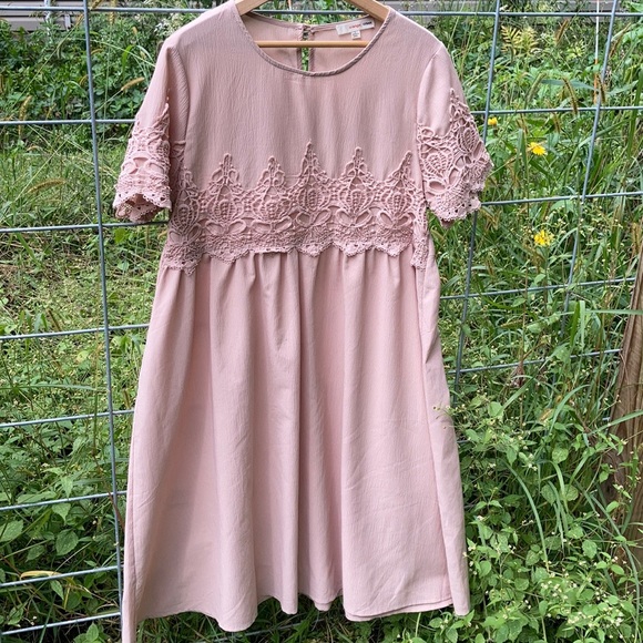 Roolee Dresses & Skirts - Blush lace trimmed babydoll dress